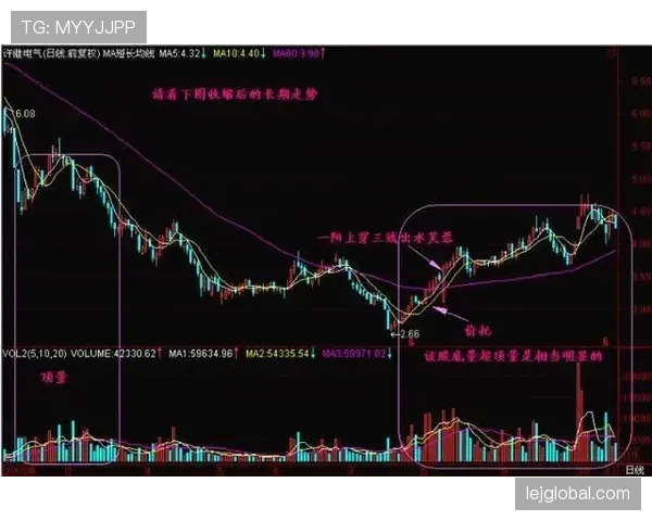 主力稳如泰山，替补深度不足或成赛季隐患